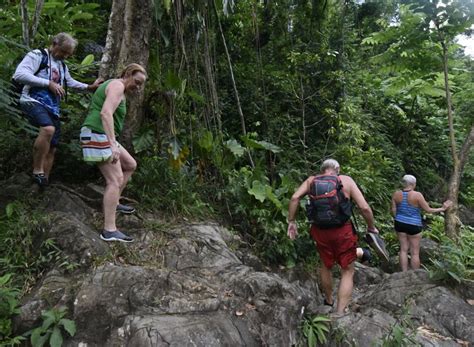 San Juan El Yunque Rainforest And Bio Bay Kayak Combo Tour Getyourguide