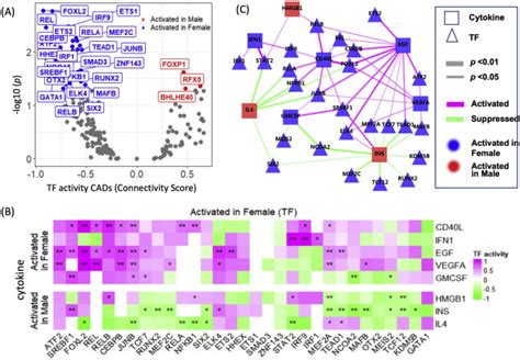 Sex Specific Differences In Cytokine Signaling Pathways In Circulating