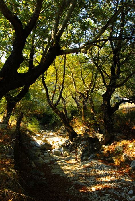 Nidri Waterfalls on Lefkada Island Stock Photo - Image of ionian, lake ...