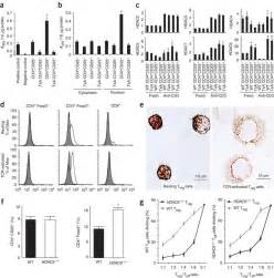 HDAC Expression In Treg Cells A Chromogenic Assays Of HDAC Activity