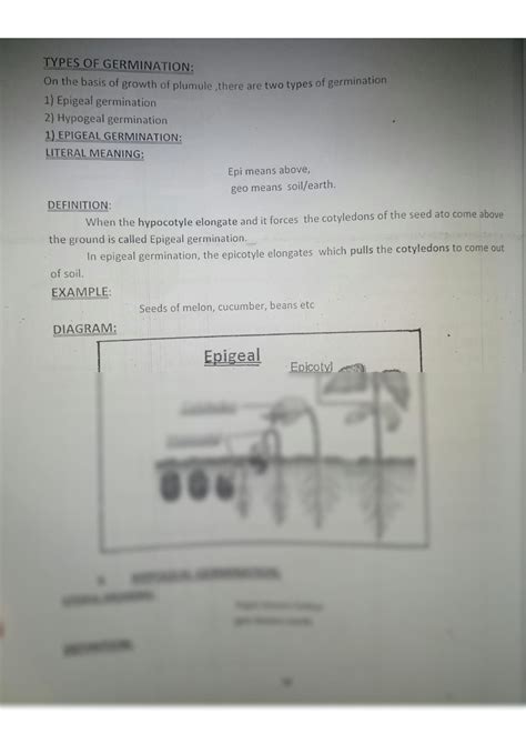 SOLUTION Seed Germination And It S Types Notes Assignment Studypool