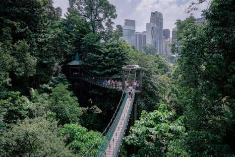 Best National Parks In Malaysia The Crazy Tourist