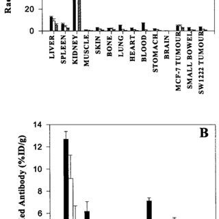 Biodistribution of 111 In CHX A Љ DTPA hu3S193 F ab Ј 2 in groups of