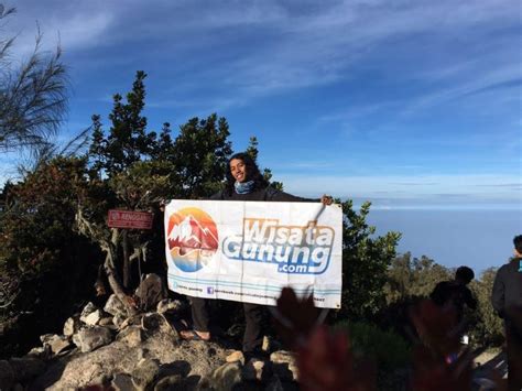 Jelajahi Gunung Argopuro Panduan Lengkap Untuk Pendaki Pemula