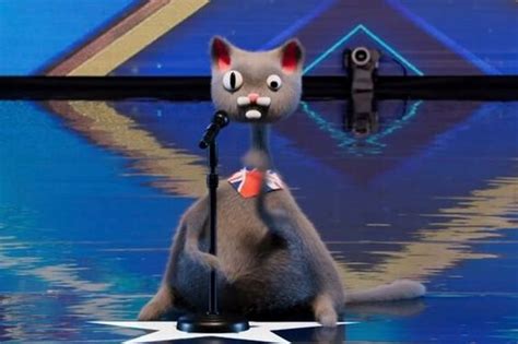 Britain S Got Talent Viewers Believe They Know Identity Of Cgi Cat