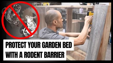 How To Protect Your Raised Garden Bed From Rodents Installing A Rodent Barrier Youtube