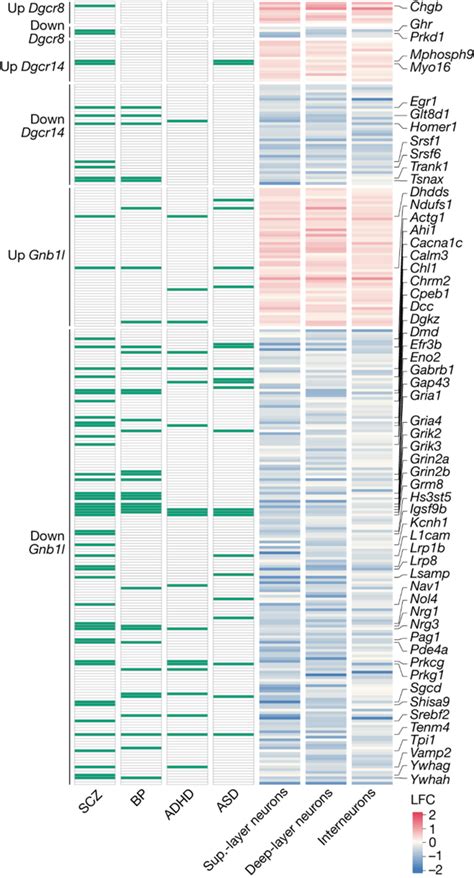 Nature Aav Perturb Seq Bydrug