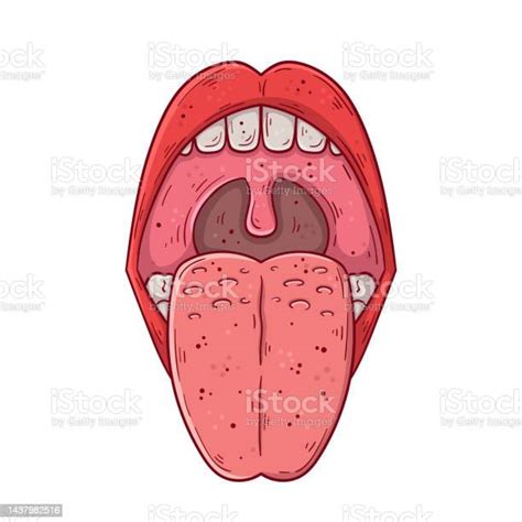 튀어 나온 혀가있는 열린 인간의 입 손으로 그린 만화 간단한 벡터 삽화 입에 대한 스톡 벡터 아트 및 기타 이미지 입 치아