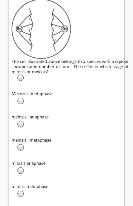 Solved The Cell Illustrated Above Belongs To A Species With Chegg