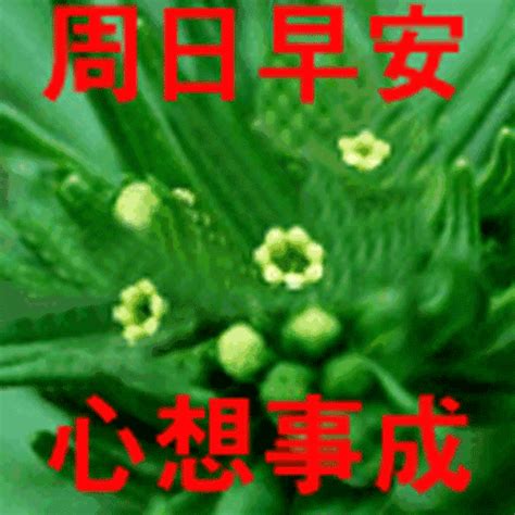 12月最新周末愉快動態表情圖片 周末早安問候語溫馨一句話 每日頭條