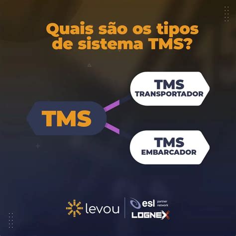 Sistema Tms O Que Como Funciona Levoutec