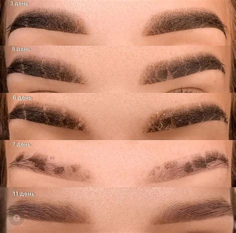 Mircoblading Eyebrows Ombre Eyebrows Types Of Eyebrows Best Eyebrow