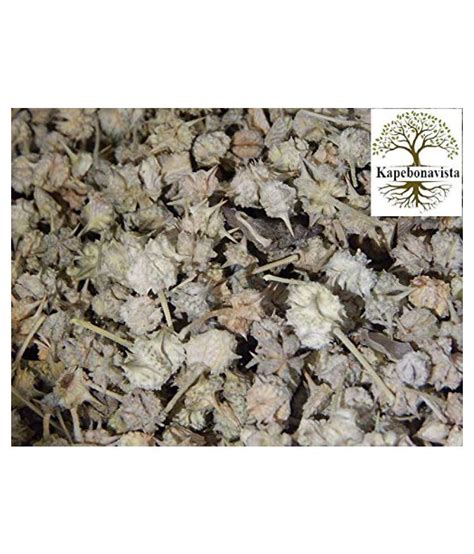 Kapebonavista Dried Gokharu Tribulus Terrestirs 250gm Raw Herbs 1 No S