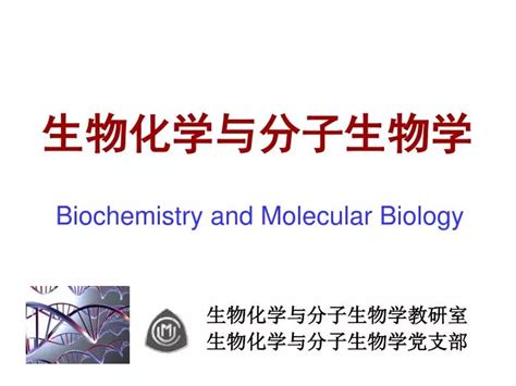 Ppt 生物化学与分子生物学 Powerpoint Presentation Free Download Id7074354