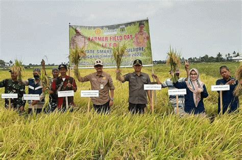 Gelar Ffd Program Csa Kementan Petani Pinrang Optimis Tingkatkan