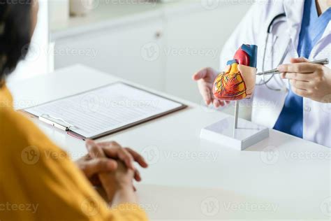 Cardiology Consultation Treatment Of Heart Disease Doctor Cardiologist