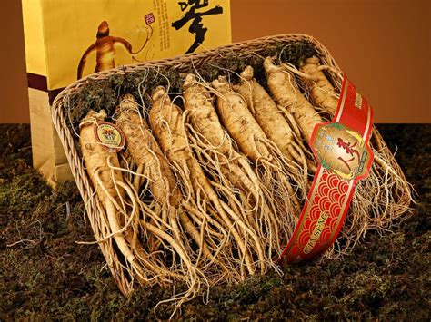 Cuáles son las contraindicaciones del consumo de ginseng