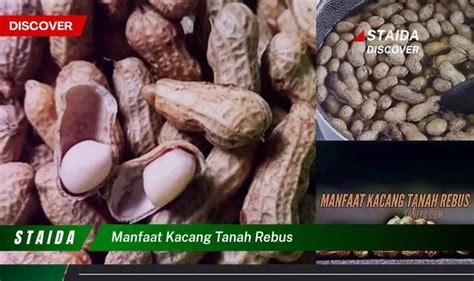 Temukan Manfaat Kacang Tanah Rebus Yang Jarang Diketahui