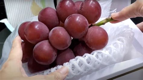 These Are The Most Expensive Grapes In The World