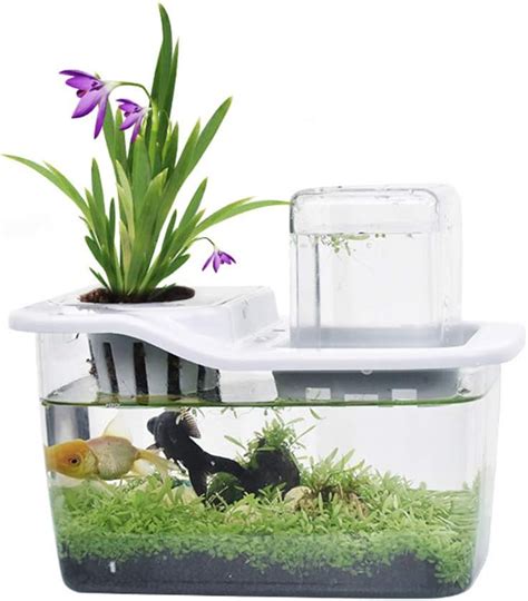 Cool Betta Fish Tanks Nice 25 Cool Betta Fish Tank Ideas That Will