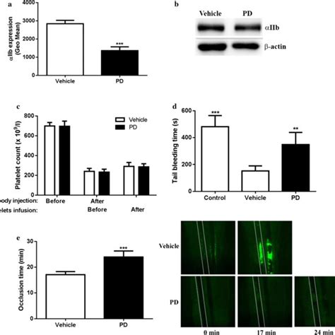 Platelet P Selectin Expression And AIIbb3 Activation After PD