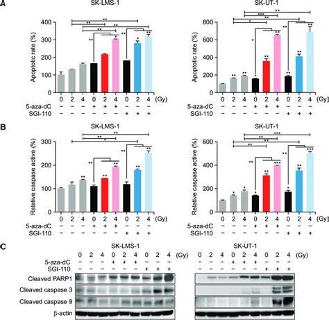 The Combination Of 5 Aza Dc Or Sgi 110 And Ir Contributes To Inducing Download Scientific