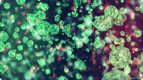 Exosome isolation using ultracentrifugation