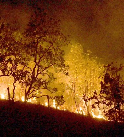 Queimadas Persistem Na Amaz Nia E Cidades Do Par Superam Mil Focos