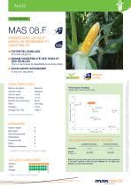 Semence de maïs très précoce MAS 08 F Mas Seeds grain ensilage