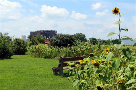 Martinsburg VA Medical Center | Chesapeake Stormwater Network