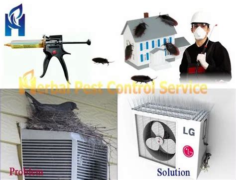 Poly Carbonate Commercial Bird Control Services For Buildings In Noida