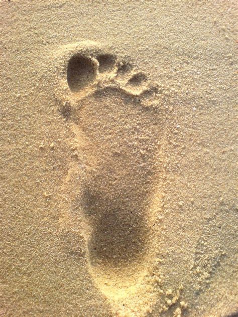 Foot impression Free Photo Download | FreeImages