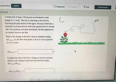 Solved Nment Score Resources D Give Up Hint Check Chegg