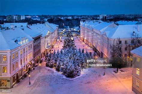 Estonia Tartu Snowy Christmas Trees In Town Hall Square High Res Stock