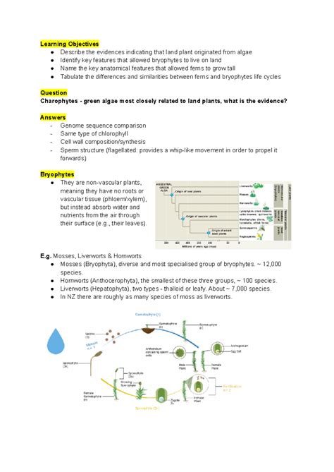 Biosci 108 Lecture 14 Notes Learning Objectives Describe The