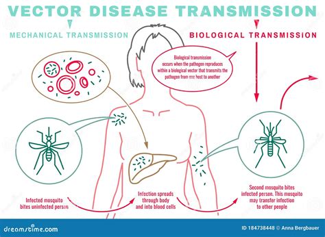 Infectious Disease Transmission Stock Vector - Illustration of ...