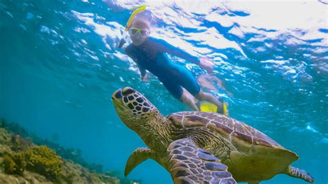 Oahu Sightseeing Land Tours Circle Island Tours Activities