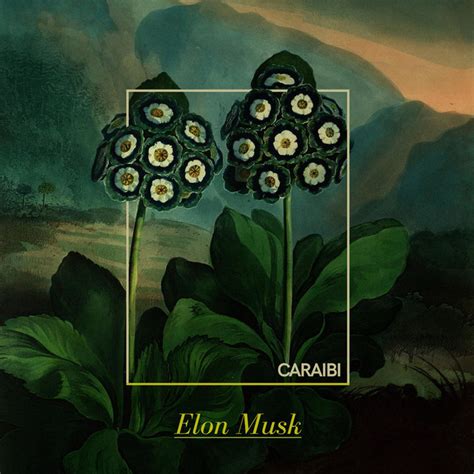 Elon Musk Single By Caraibi Spotify