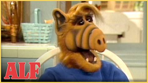 Alf Scares Willie S Brother Away S4 Ep7 Clip Youtube