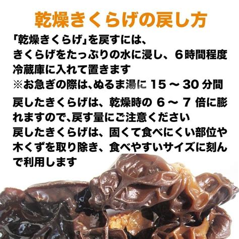 きくらげ 国産 キクラゲ 乾燥きくらげ 100g×1袋 大分県産 木耳 送料無料 100krag 11013 北前船の贈り物 通販