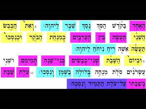 Torah Recordings – Purim / Rosh Chodesh – myniboca.org