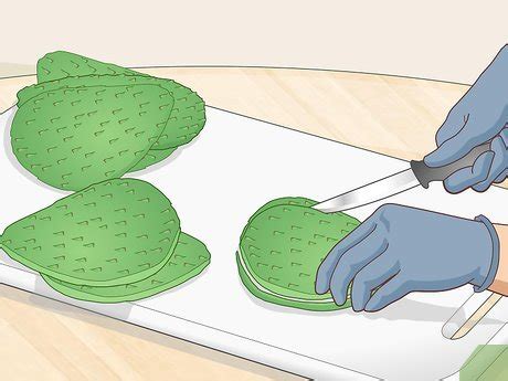 How To Cook Cactus With Pictures Wikihow