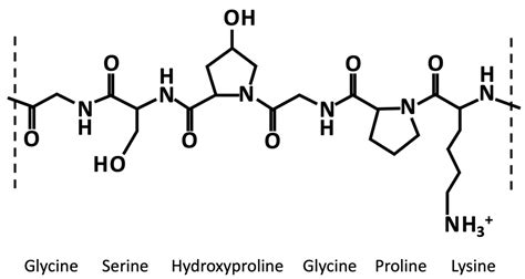 Structure And Properties Of Gelatin Encyclopedia Mdpi