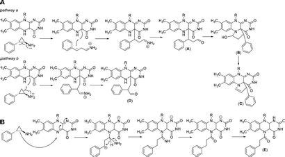 Frontiers LSD1 Inhibitors For Cancer Treatment Focus On Multi Target