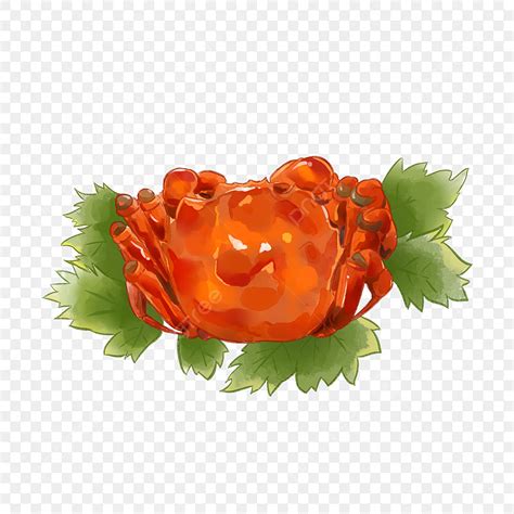 Hairy Crab PNG Picture Hairy Crab Crab Food Food Seafood Hand Drawn