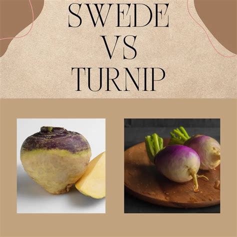 Swede vs Turnip - What's the difference? - Garden and Allotment Tips ...