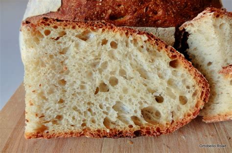 Pan Di Pane Ricetta Pane Di Semola Rimacinata Di Grano Duro Con Prefermento