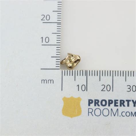 18kt Gold Teeth Cap Property Room