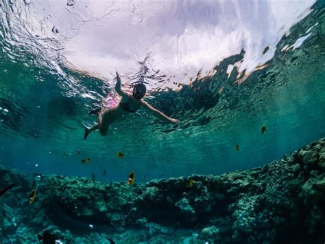 Premium Photo Young Woman Snorkeling At Coral Reef In Tropical Sea