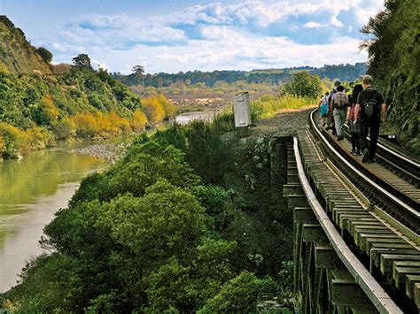 Destinations Walking The Manawatu Gorge Motorhomes Caravans